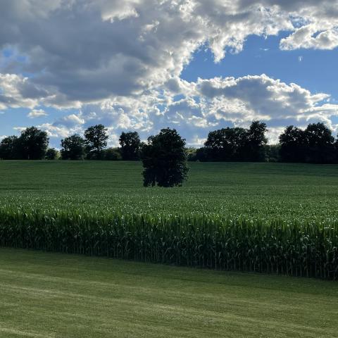 farmhouse, farm, rural, country, field, lake, barn, porch, 