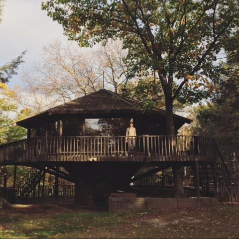 cabin, log house, rural, country, 