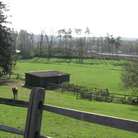 country, farm, horse, rustic, field, barn, 