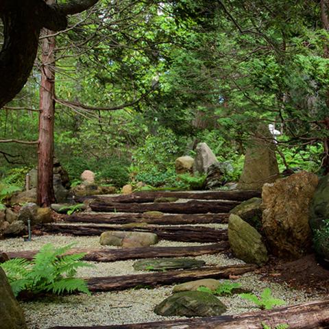 garden, zen, bridge, wooded, 