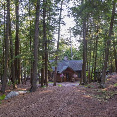 lake, rustic, traditional, cabin, water, pool, 