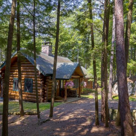 lake, rustic, traditional, cabin, water, pool, 