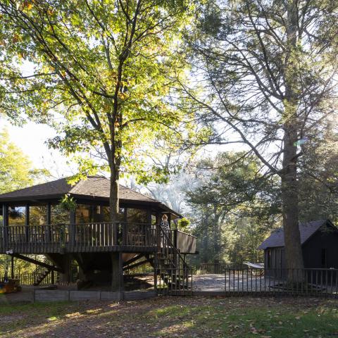 cabin, log house, rural, country, 