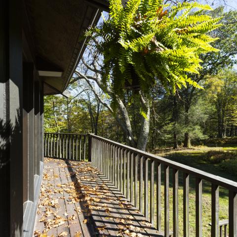 cabin, log house, rural, country, 