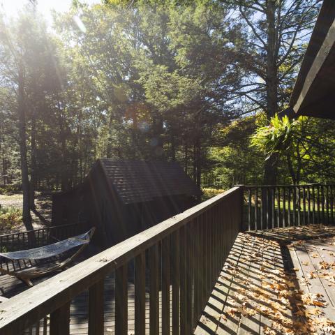 cabin, log house, rural, country, 