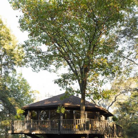 cabin, log house, rural, country, 