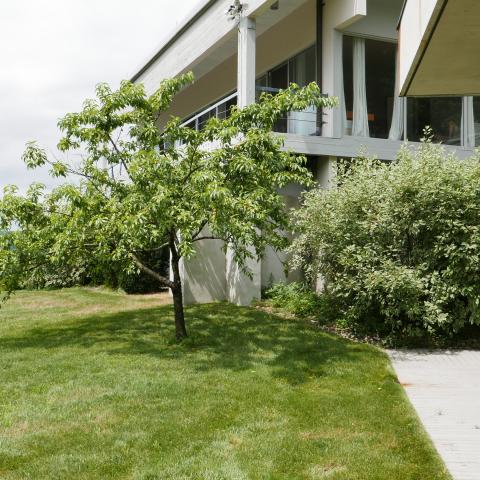 contemporary, modern, view, pool, minimal, glass, deck, kitchen, fireplace, bathroom, 