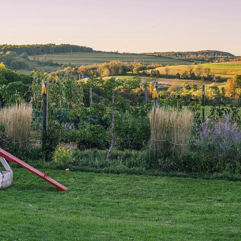 farm, farmhouse, barn, field, contemporary, light, airy, 