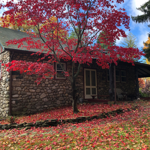 rustic, rural, stone, lake, 