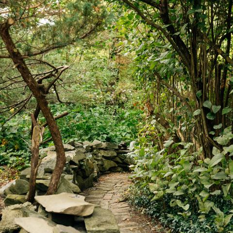 stone, rural, country, kitchen, bathroom, deck, 