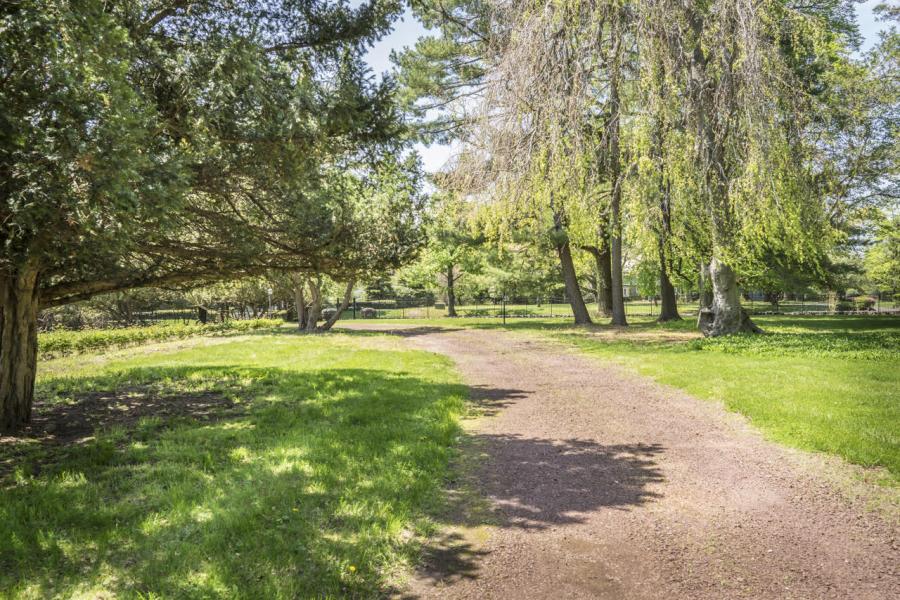 mansion, estate, empty room, traditional, grand, garden, 