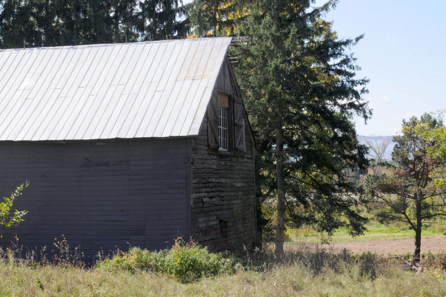 farm, farmhouse, rural, 