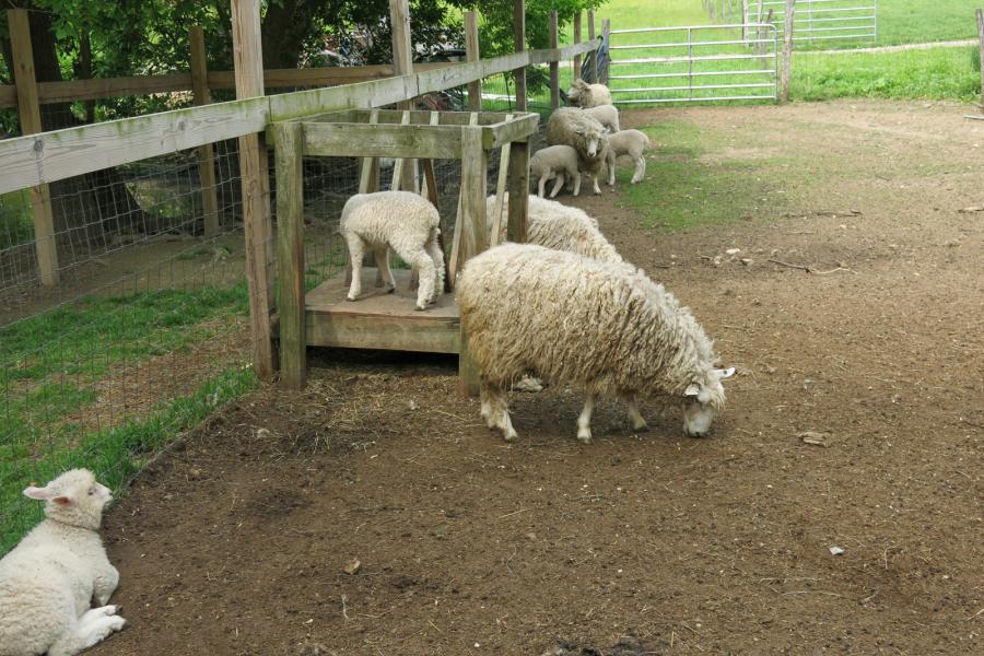 farm, farmhouse, stable, barn, 