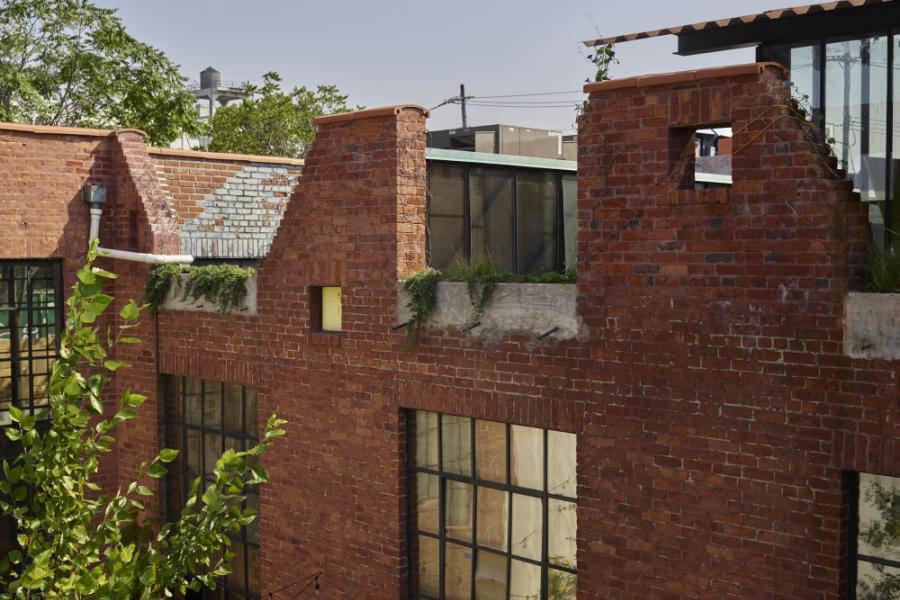 industrial, light, concrete, garden, textured walls, 