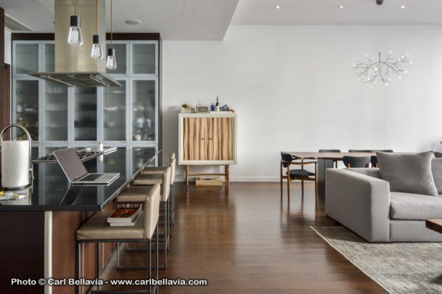 loft, apartment, contemporary, bathroom, kitchen, rooftop, 