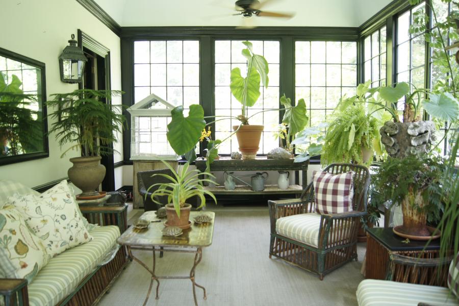 suburban, sunroom, garden, 