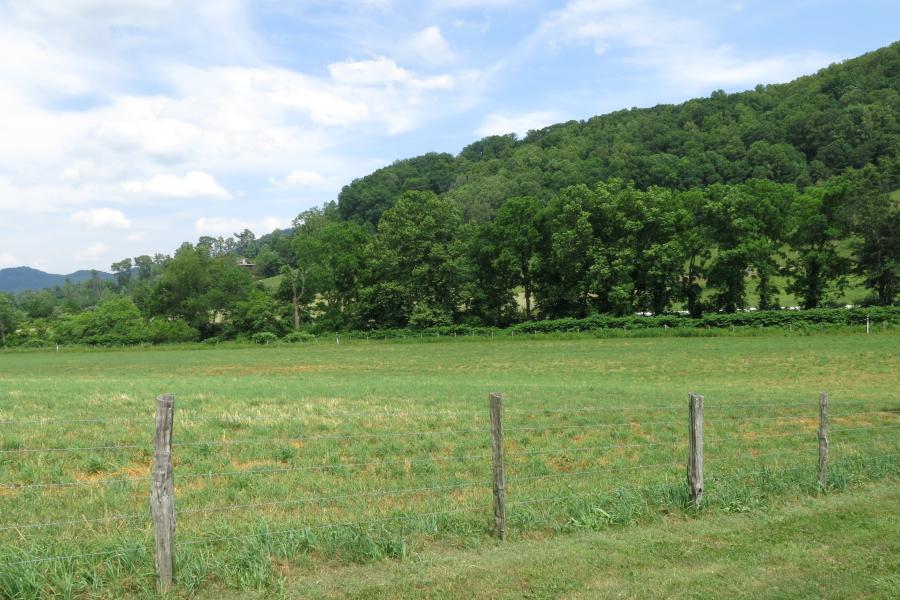 farm, farmhouse, field, water, pond, rural, stone, barn, Asheville, 