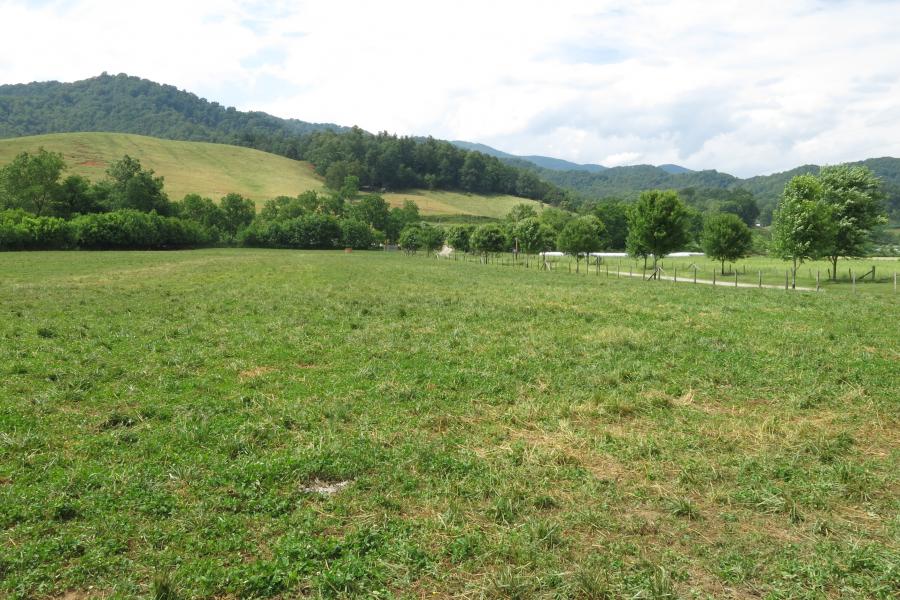 farm, farmhouse, field, water, pond, rural, stone, barn, Asheville, 