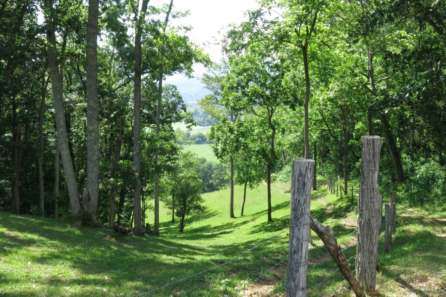 farm, farmhouse, field, water, pond, rural, stone, barn, Asheville, 