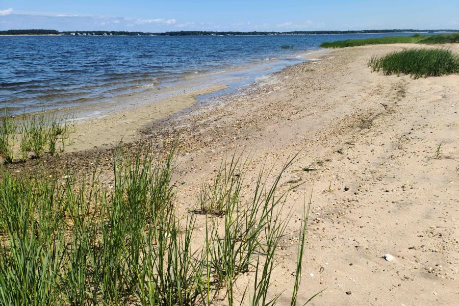 Hamptons, beach, water, deck, white, light, 