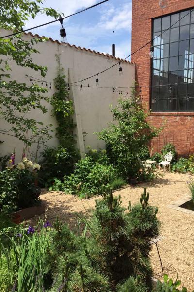 industrial, light, concrete, garden, textured walls, 