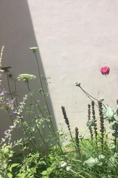 industrial, light, concrete, garden, textured walls, 