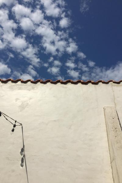 industrial, light, concrete, garden, textured walls, 