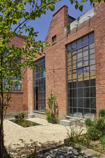 industrial, light, concrete, garden, textured walls, 