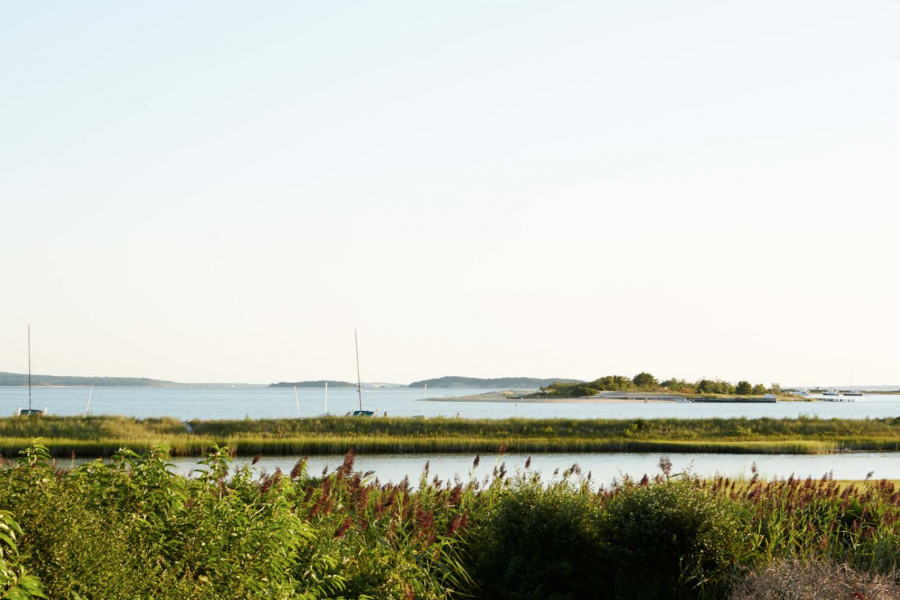 Hamptons, rustic, deck, pool, water, 