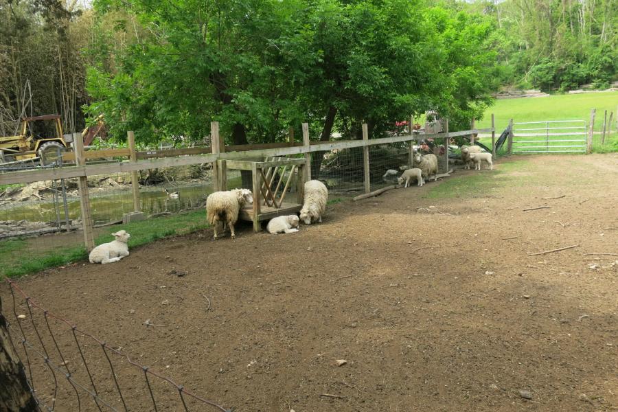 farm, farmhouse, stable, barn, 