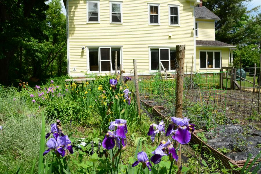 water, barn, rustic, 