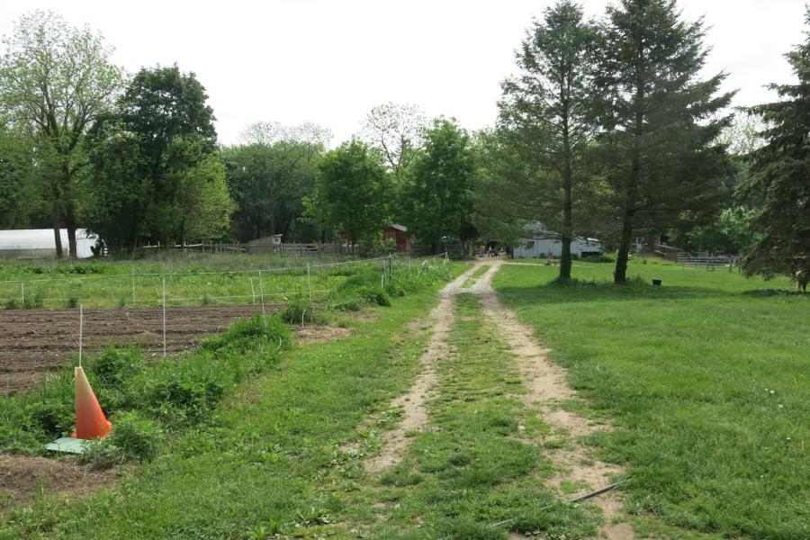 farm, farmhouse, stable, barn, 