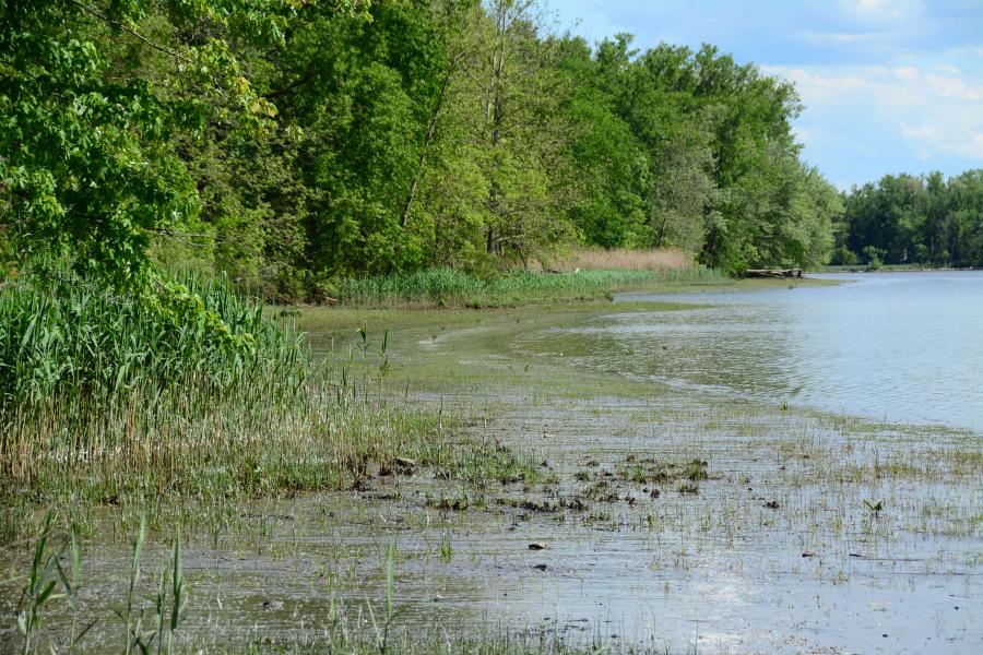 water, barn, rustic, 