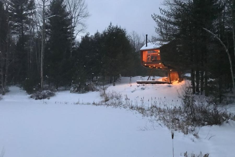 cabin, wooded, wood, pond, lake, glass, fireplace, 