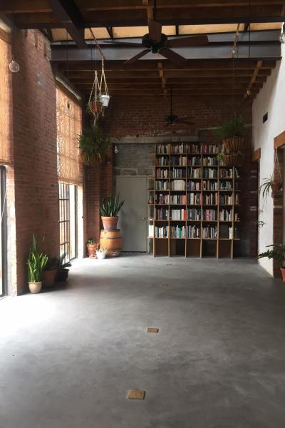 industrial, light, concrete, garden, textured walls, 