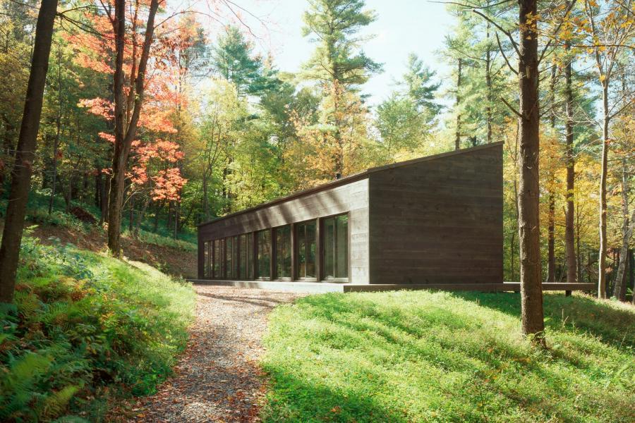 cabin, glass, wooded, light, airy, contemporary, 