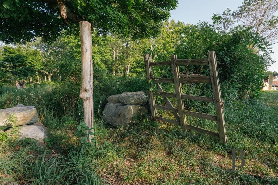 country, farm, horse, rustic, library, barn, stable, water, stone, rolling hill, greenhouse, boathouse, 