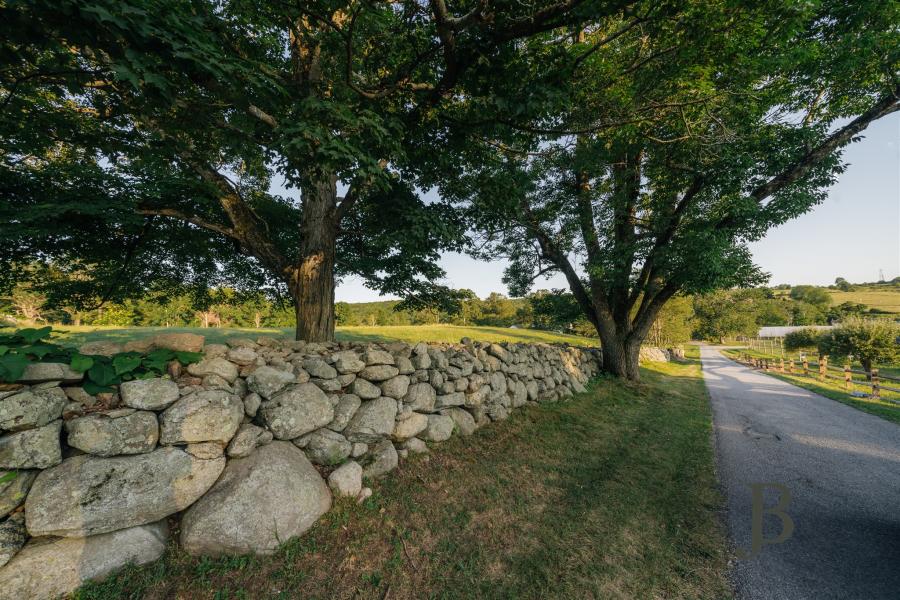 country, farm, horse, rustic, library, barn, stable, water, stone, rolling hill, greenhouse, boathouse, 