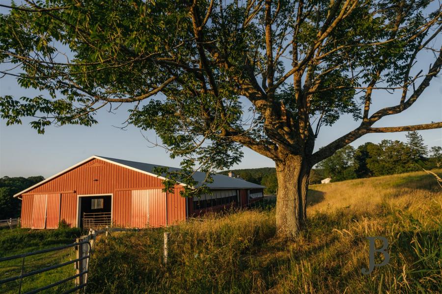 country, farm, horse, rustic, library, barn, stable, water, stone, rolling hill, greenhouse, boathouse, 