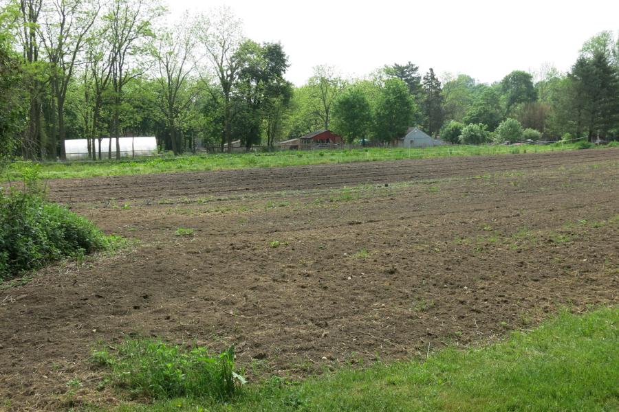 farm, farmhouse, stable, barn, 