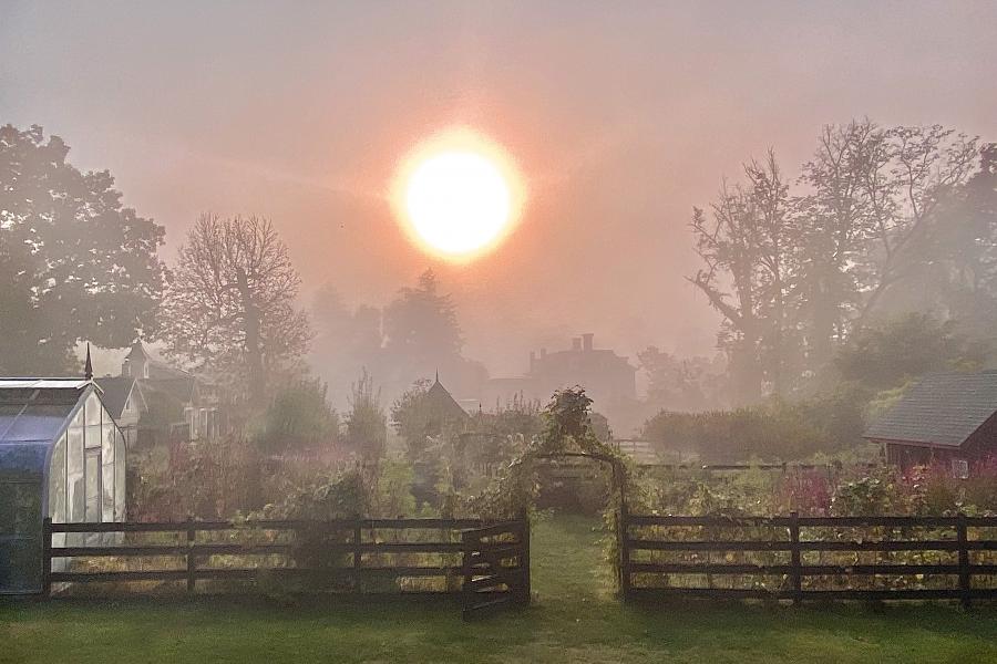 farm, greenhouse, field, rural, country, kitchen, 