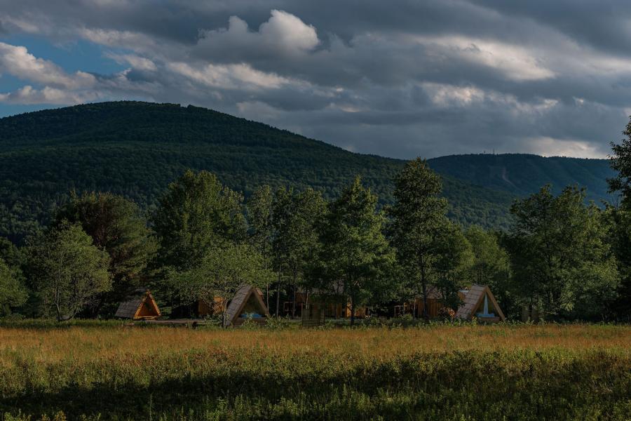 country, cabin, hotel, funky, fireplace, wooded, 