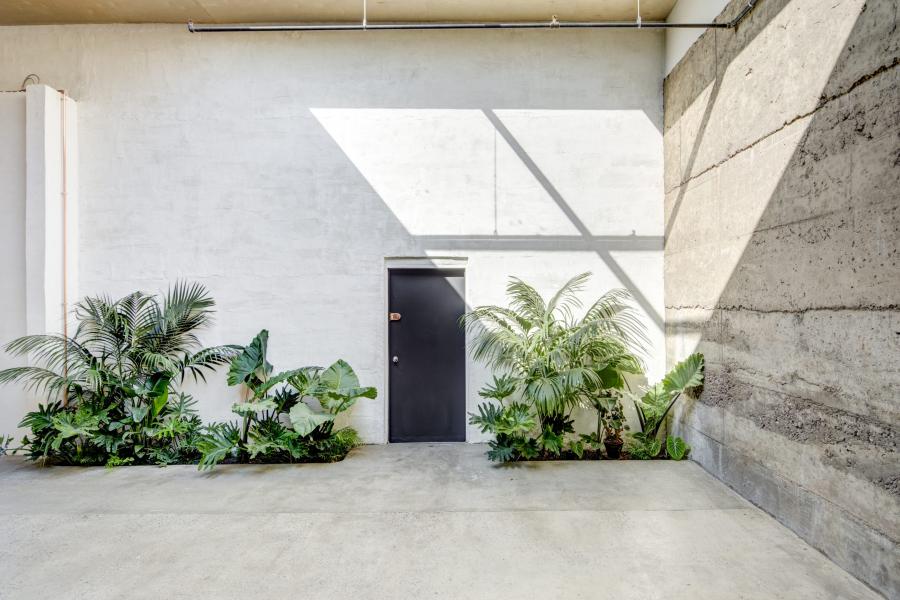 industrial, loft, light, concrete, 