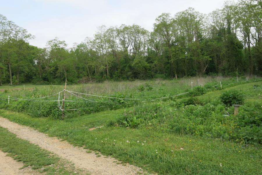 farm, farmhouse, stable, barn, 