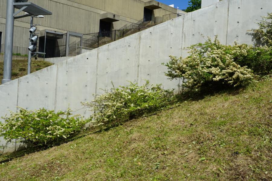 concrete, modern, museum, water, staircase, industrial, 