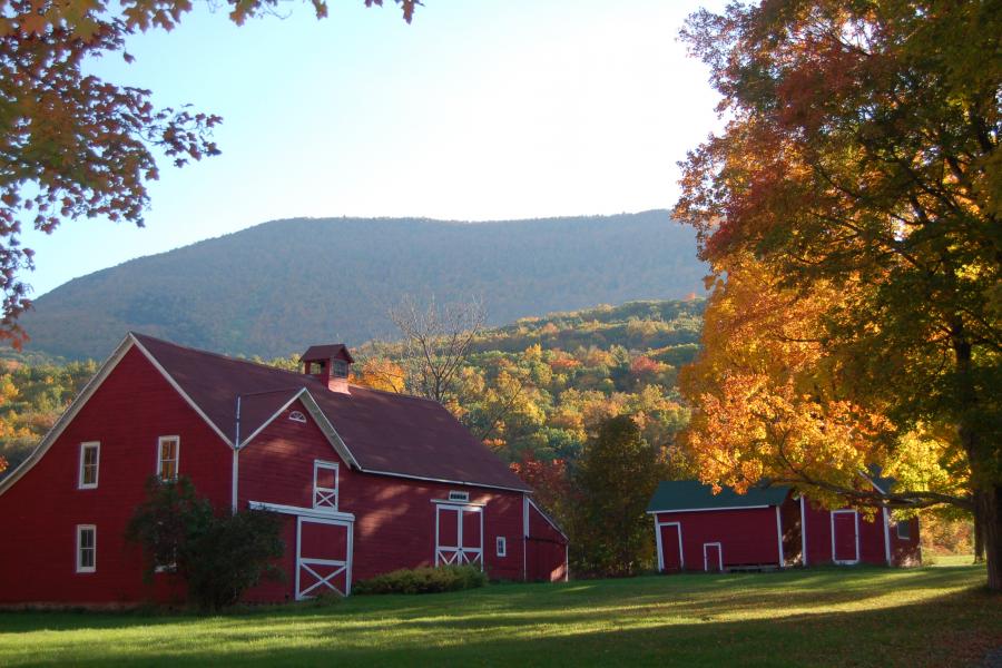 farm, farmhouse, barn, wooded, traditional, contemporary, 