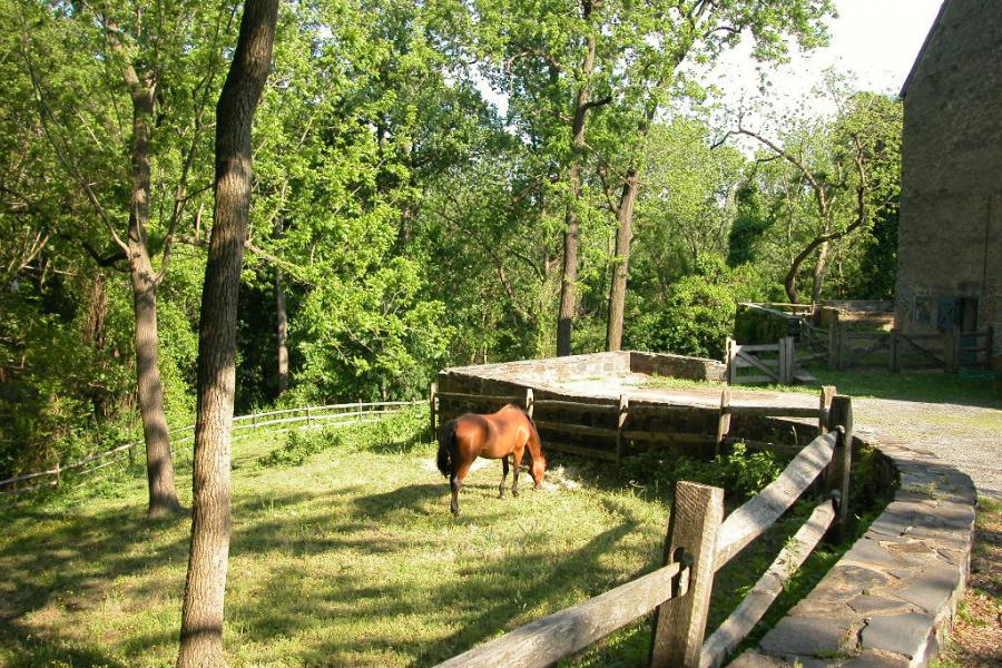 farm, barn, pool, rustic, 