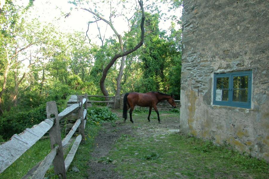 farm, barn, pool, rustic, 