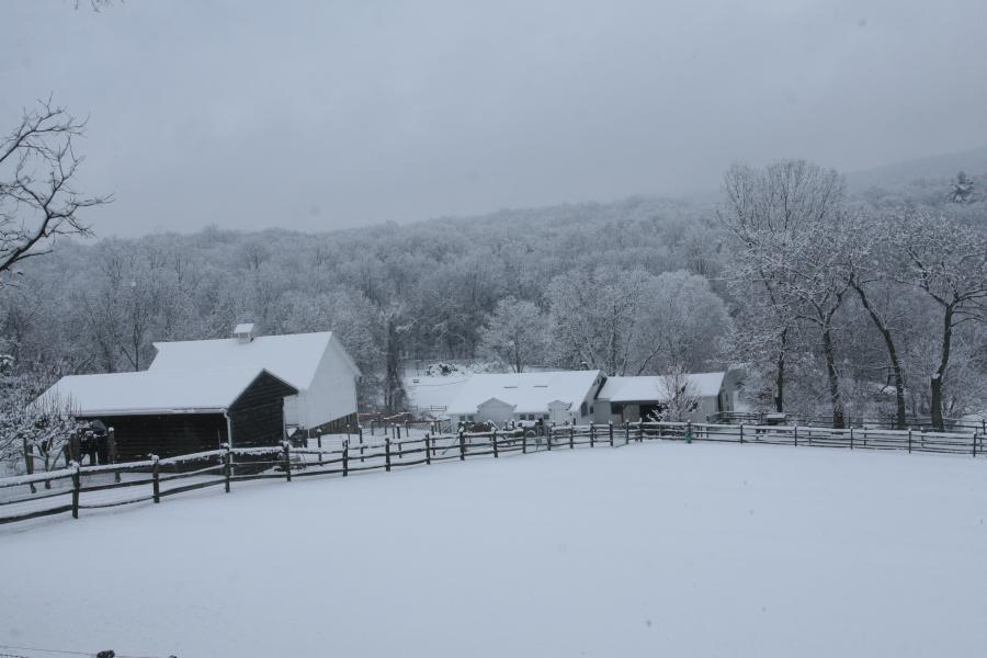 farm, field, barn, 