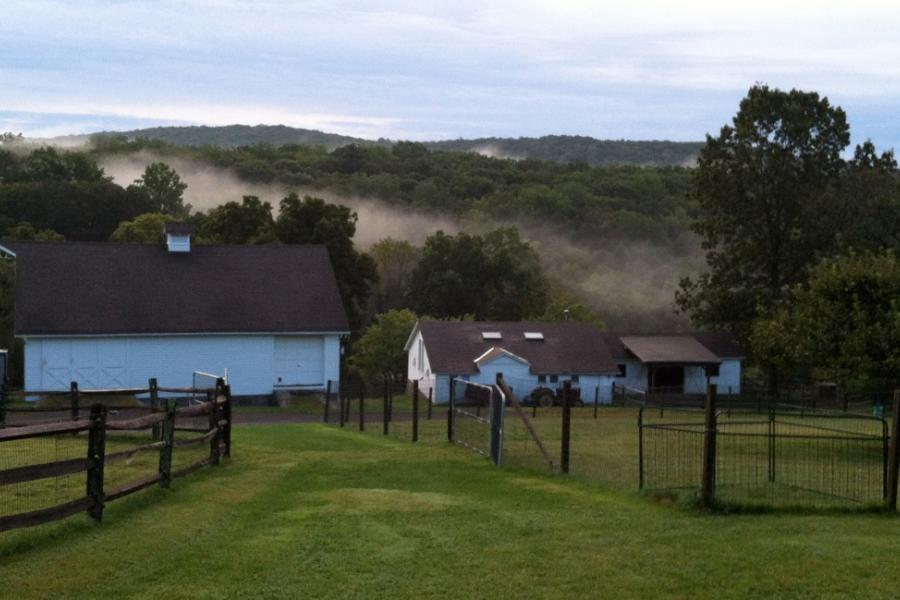 farm, field, barn, 